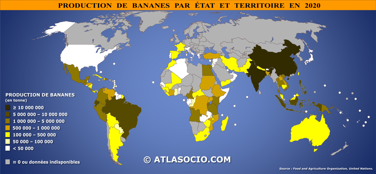 Carte du monde relative à la production de bananes par État en 2020
