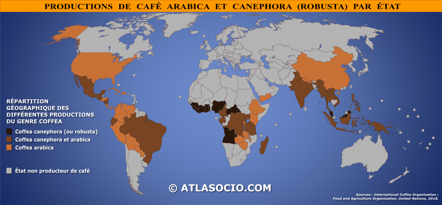 Carte du monde relative à la répartition géographique des différentes productions du genre Coffea