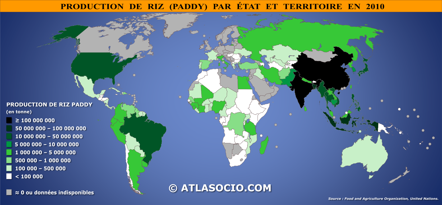 Carte du monde relative à la production de riz par État en 2010