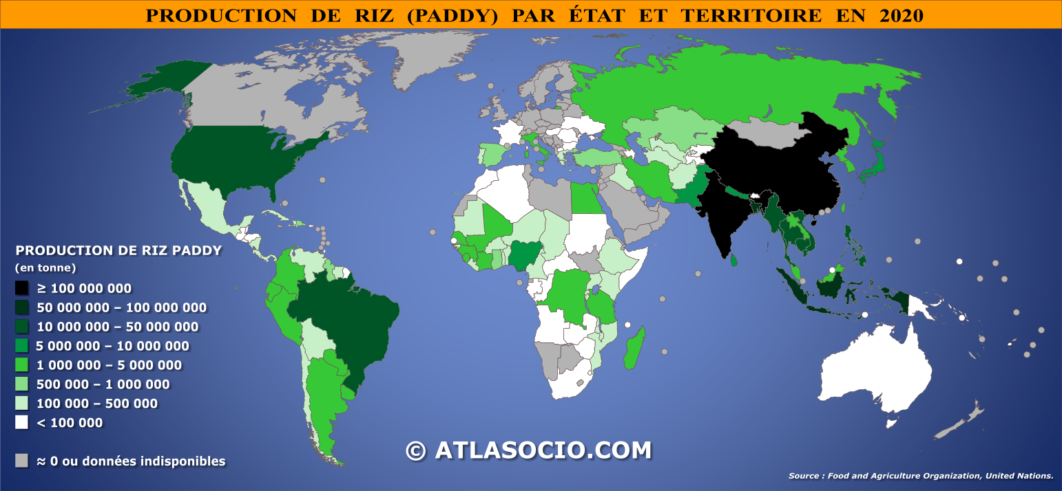 Carte du monde relative à la production de riz par État en 2020