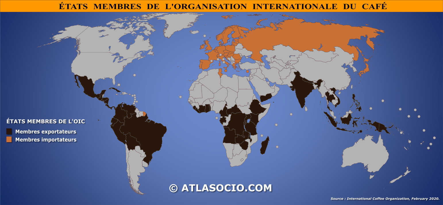 Carte du monde relative aux États membres de l'Organisation internationale du café