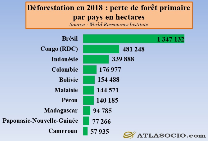 Déforestation 2018 : les 10 pays ayant perdu la plus grande superficie de forêt primaire tropicale.