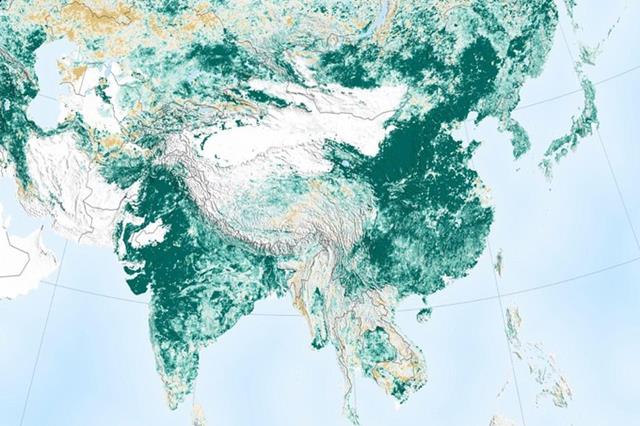 Le couvert forestier progresse à un rythme soutenu en Chine et en Inde.